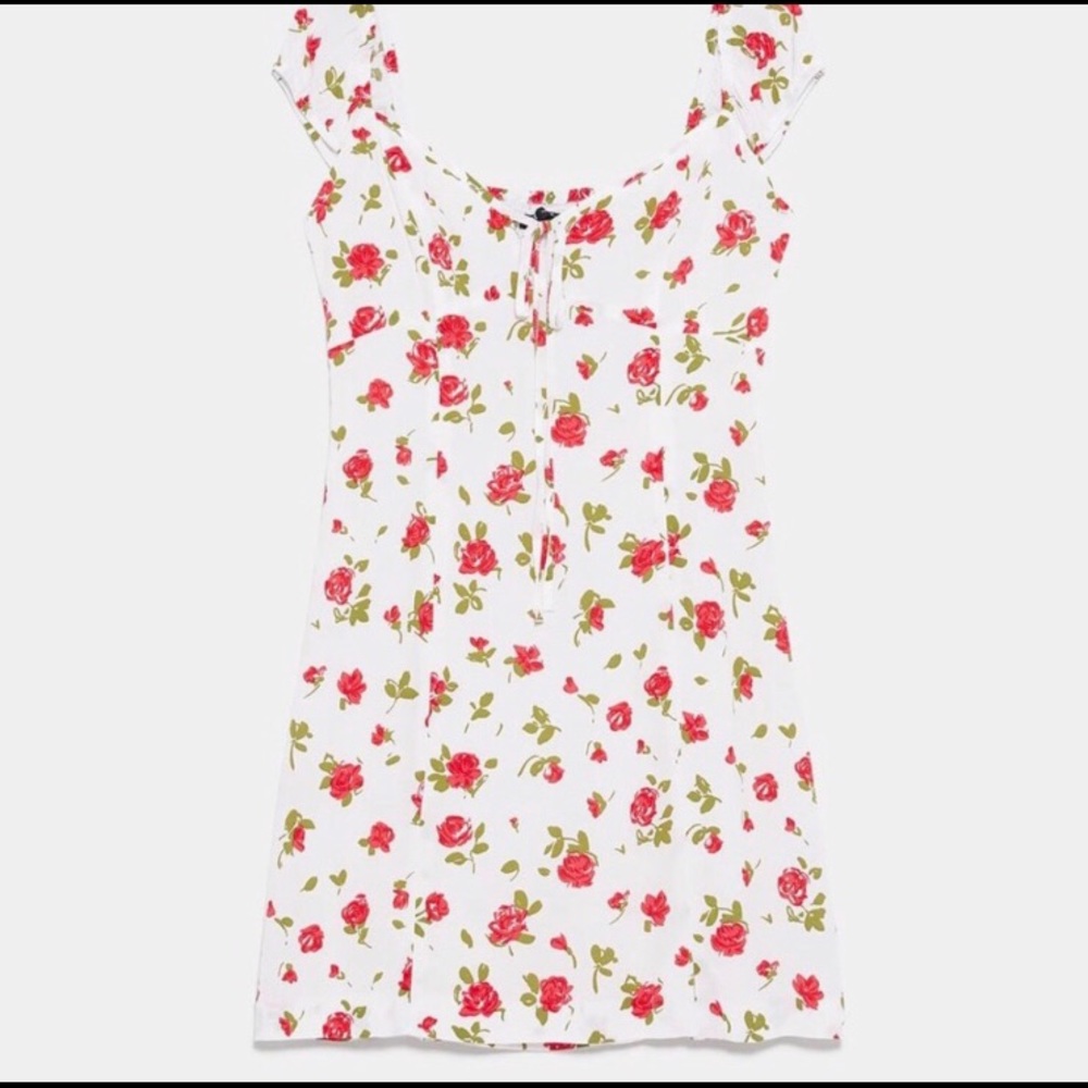 Red Rose Mini 🍒 - Picture 2 of 3